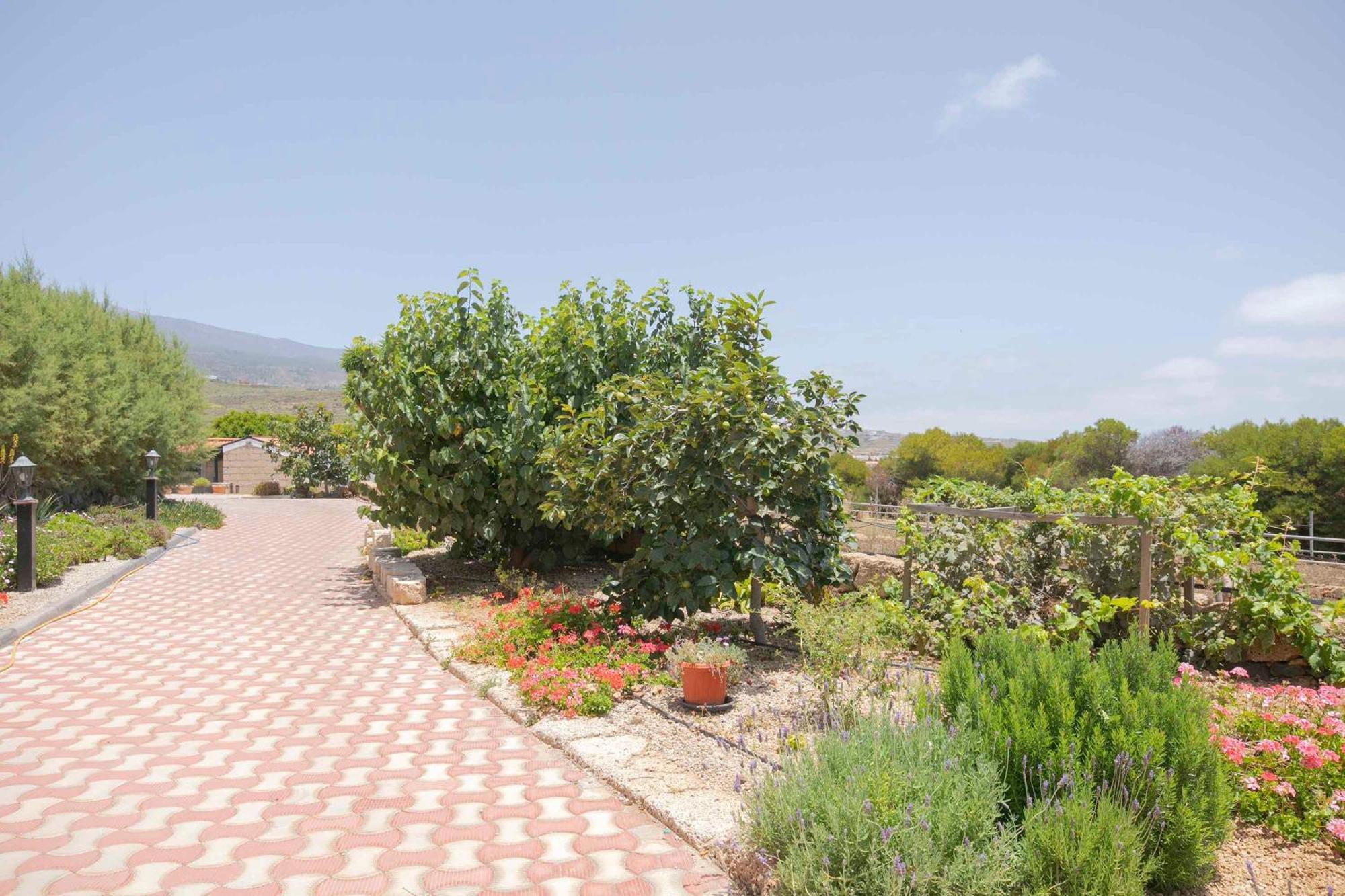 Casa Wayra Villa Granadilla De Abona Eksteriør billede