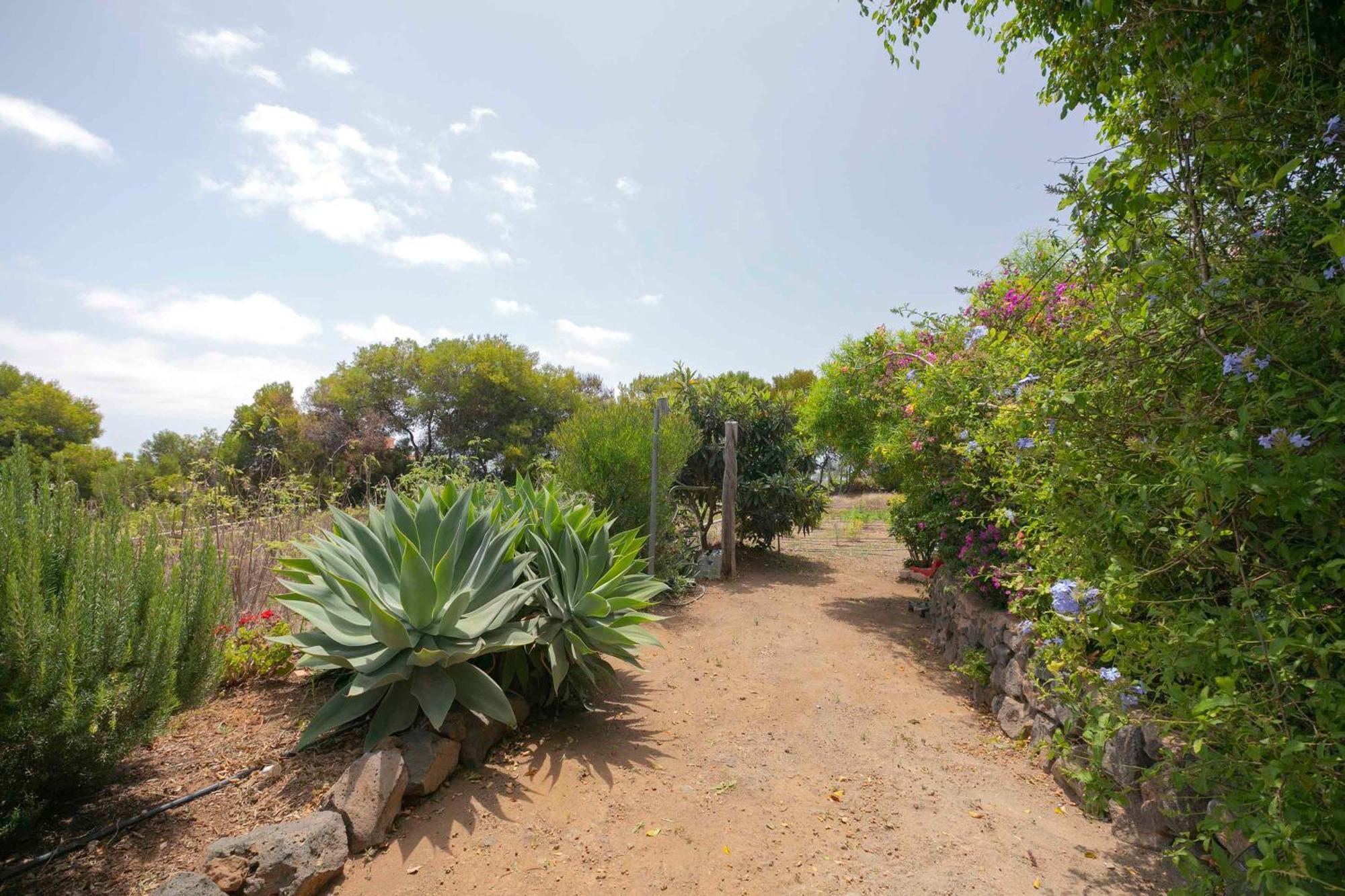 Casa Wayra Villa Granadilla De Abona Eksteriør billede